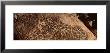 Petroglyphs On A Rock, Saguaro National Park, Tucson, Arizona, Usa by Panoramic Images Limited Edition Print