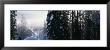 Snowcapped Lodge In The Forest, Yoho National Park, British Columbia, Canada by Panoramic Images Limited Edition Print