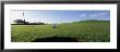 Golf Ball Entering The Hole, Kanapali, Hawaii, Usa by Panoramic Images Limited Edition Print