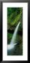 Waterfall, Oregon, Usa by Panoramic Images Limited Edition Pricing Art Print