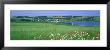 French River, Prince Edward Island, Canada by Panoramic Images Limited Edition Pricing Art Print