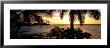 Kohala Coast, Hawaii, Usa by Panoramic Images Limited Edition Print