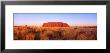 Ayers Rock, Uluru-Kata Tjuta National Park, Australia by Panoramic Images Limited Edition Pricing Art Print