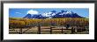 Last Dollar Ranch, Ridgeway, Colorado, Usa by Panoramic Images Limited Edition Print