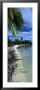 Palm Trees On The Beach, French Polynesia by Panoramic Images Limited Edition Pricing Art Print