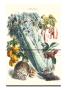 Vegetables; Celery, Bell Peppers, Strawberries, And Legumes by Philippe-Victoire Leveque De Vilmorin Limited Edition Print