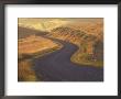 Gravel Road Through Wheat And Pea Fields, Eastern Washington, Usa by Darrell Gulin Limited Edition Print