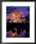 Giant Cherry Blossom Tree In Maruyama Park, Kyoto, Japan by Frank Carter Limited Edition Print