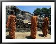 Three Monks In Front Of A Statue Of The Buddha, Gal Vihara, Polonnaruwa, Sri Lanka by Yadid Levy Limited Edition Print