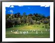 Cornwall Cricket Club, Auckland, New Zealand by David Wall Limited Edition Print