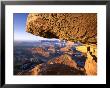 Overhanging Rock And Colorado River Canyon At Sunrise, Deadhorse Point State Park, Utah, Usa by Scott T. Smith Limited Edition Print