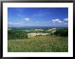 South Harting From The South Downs Way, Harting Down, West Sussex, England, United Kingdom by Pearl Bucknall Limited Edition Print