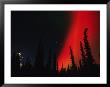 Aurora Borealis In The Night Sky, Alaska by Michael S. Quinton Limited Edition Pricing Art Print