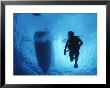A Silhouetted Diver Descends Into Clear Blue Water by Raul Touzon Limited Edition Print