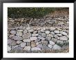 Rock Wall In Upper Matilija Creek, Los Padres National Forest, California by Rich Reid Limited Edition Print