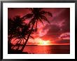 Palms And Sunset At Tumon Bay, Guam by Bill Bachmann Limited Edition Print