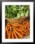 Carrots And Greens, Ferry Building Farmer's Market, San Fransisco, California, Usa by Inger Hogstrom Limited Edition Print