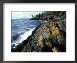 Lighthouse On Coast, Port Townsend, Washington, Usa by William Sutton Limited Edition Print