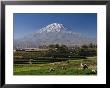 El Misti Volcano And Arequipa Town, Peru by Michele Falzone Limited Edition Print