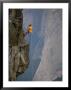 Rapeling Down A Cliff With El Capitan In Background, Yosemite National Park, California by Bill Hatcher Limited Edition Print