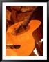 Double Exposure Of Guitar And Rocks by Janell Davidson Limited Edition Print