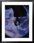 Image Of Earth In Drop Of Water by Tomas Del Amo Limited Edition Print