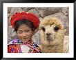 Girl In Native Dress With Baby Alpaca, Sacsayhuaman Inca Ruins, Cusco, Peru by Dennis Kirkland Limited Edition Pricing Art Print