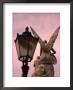 Angel Statue On Schlossbrucke Bridge, Berlin, Greater Berlin, Germany by Thomas Winz Limited Edition Print