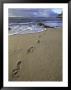 Footprints In The Sand, Turtle Bay Resort Beach, Northshore, Oahu, Hawaii, Usa by Darrell Gulin Limited Edition Print
