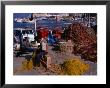 Fisherman Mending His Nets On Waterfront In Herakleion, Greece by Wayne Walton Limited Edition Print