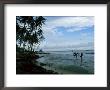 Stilt Fishermen Fishing From Their Poles Between Unawatuna And Weligama, Sri Lanka by Yadid Levy Limited Edition Print