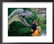 Woman Holding A Girl Up To A Dinosaur Model, Drumheller Valley, Alberta, Canada by Philip & Karen Smith Limited Edition Print