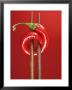 A Chili On Chopsticks by Marc O. Finley Limited Edition Print