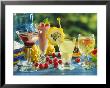 Midnight, Pinky, Asia And Exotic Punch On Garden Table by Michael Brauner Limited Edition Print