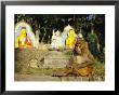 A Rhesus Monkey At The Swayambhunath Temple In Kathmandu by Michael Melford Limited Edition Pricing Art Print