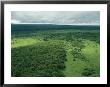 An Aerial View Of Lush Grasslands And Forest by Klaus Nigge Limited Edition Print