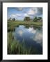 Morning Light On Chimney Creek Pond, Savannah, Georgia, Usa by Joanne Wells Limited Edition Print