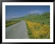 A View Along Highway 1, North Of San Francisco by George F. Mobley Limited Edition Print