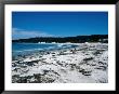 The Beach At Carmel,Carmel-By-The-Sea, California, Usa by Lee Foster Limited Edition Print