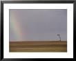 A Rainbow Touches A Barren Landscape Interrupted By A Solitary Tree by Jason Edwards Limited Edition Pricing Art Print