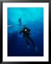 Divers In Chuuk (Formerly Truk) Lagoon by Heather Perry Limited Edition Pricing Art Print