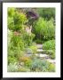Gravel And Wood Steps Leading Up Through Informal Summer Border by Mark Bolton Limited Edition Pricing Art Print