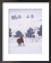 Horse Running Through Snow by Kathy Heister Limited Edition Print