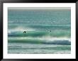 Surfer Rides A Wave In Barbados by Skip Brown Limited Edition Print