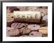 Wine Corks From Chile by Frank Tschakert Limited Edition Pricing Art Print