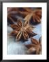 Star Anise by Maja Smend Limited Edition Pricing Art Print