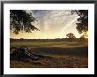 Cannons On The Battlefield At The Visitors' Center At Colonial Yorktown, Virginia by Richard Nowitz Limited Edition Print