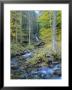 Moss Glen Falls, Green Mountain National Forest, Vermont, Usa by Fraser Hall Limited Edition Print