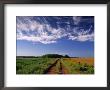 Meadow Bank, Prince Edward Island, Canada by Walter Bibikow Limited Edition Pricing Art Print