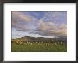 Castlerigg Stone Circle Near Keswick, Lake District, Cumbria, England, United Kingdom by Neale Clarke Limited Edition Print